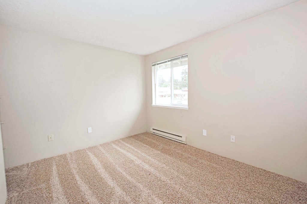 an empty room with carpet and a window