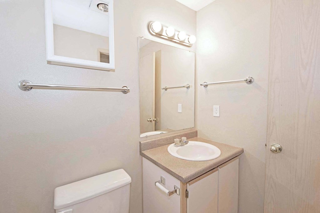 a bathroom with a sink and a mirror and a toilet
