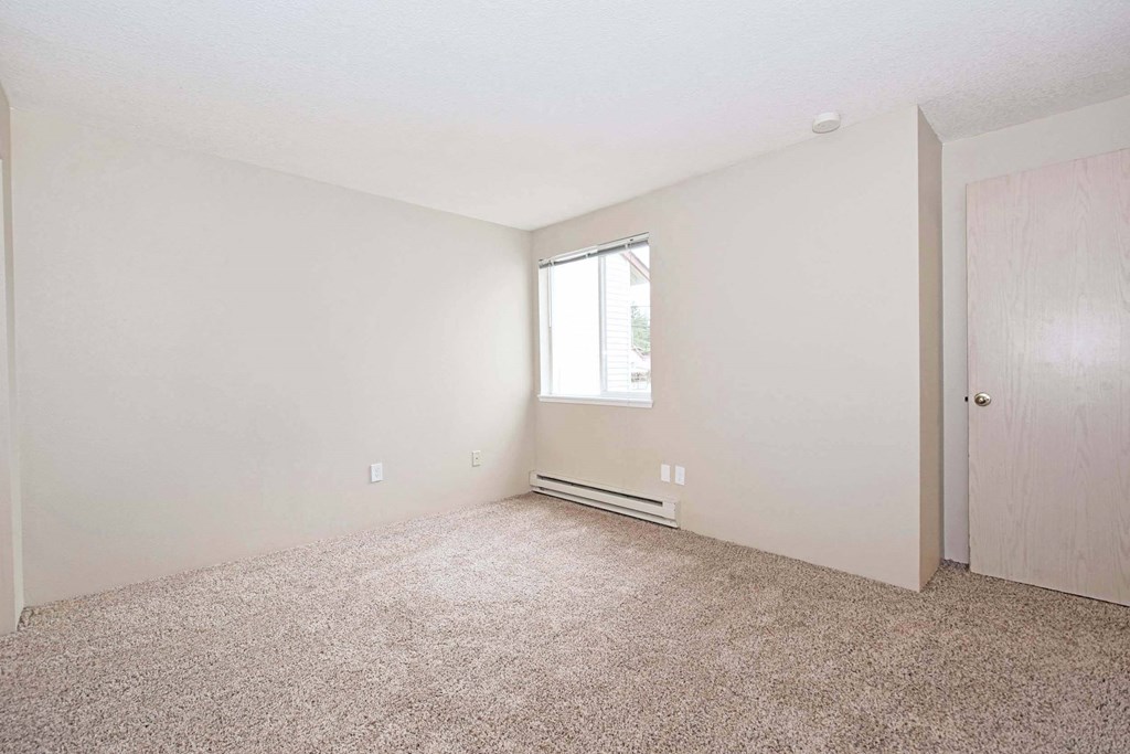 a bedroom with a window and a carpeted floor