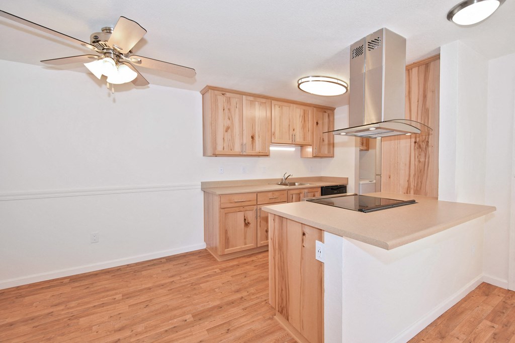 Squires Court kitchen