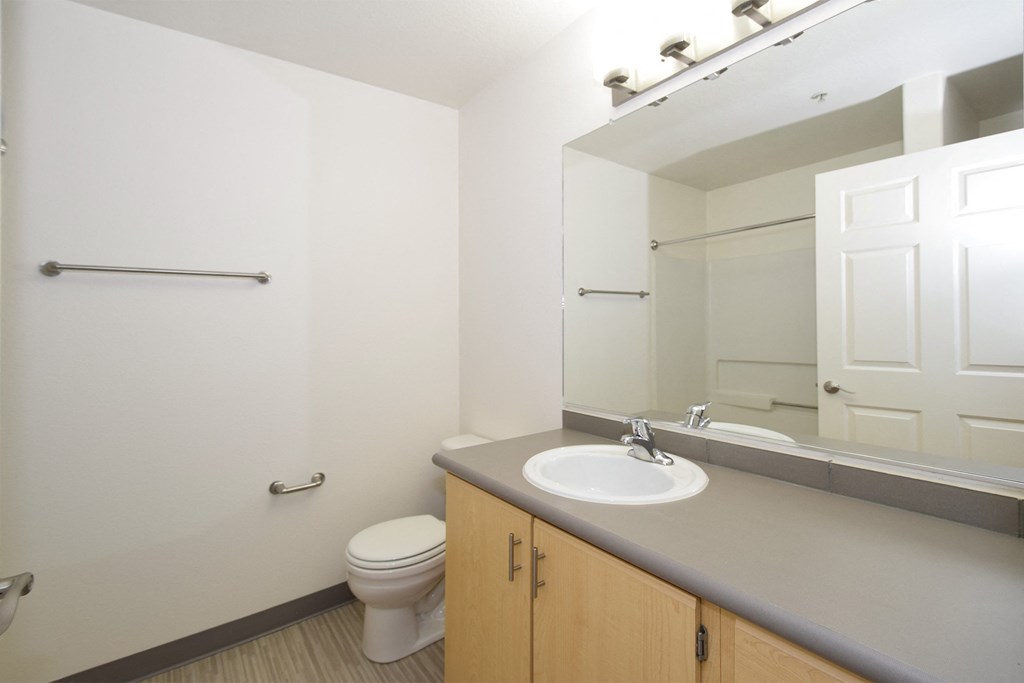 a bathroom with a sink and a toilet and a mirror