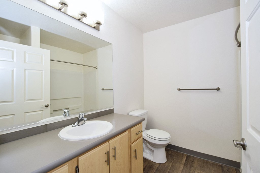 a bathroom with a sink and a toilet and a mirror