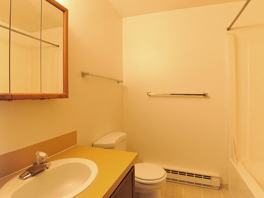 Escoshio Manor bathroom