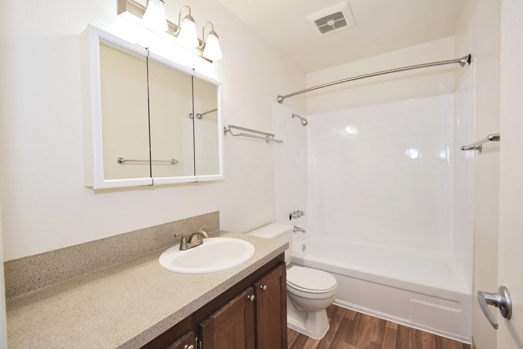 a bathroom with a sink and a shower and a toilet