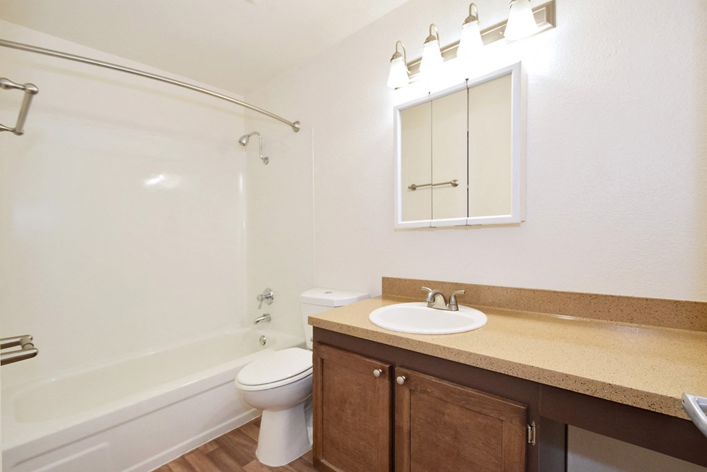 a bathroom with a sink and a toilet and a bath tub