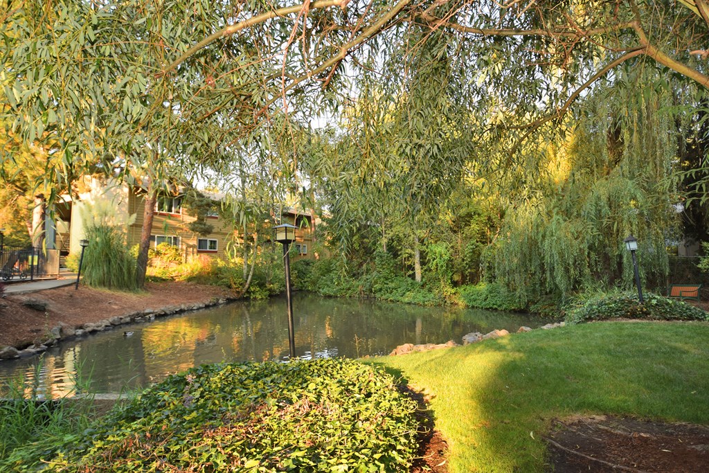 Gardenbrook Landscaping Pond