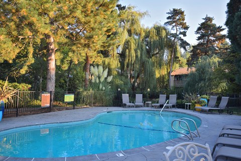Gardenbrook Pool