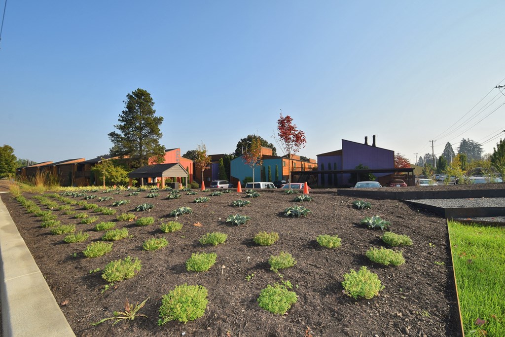 Fountain Park landscaping