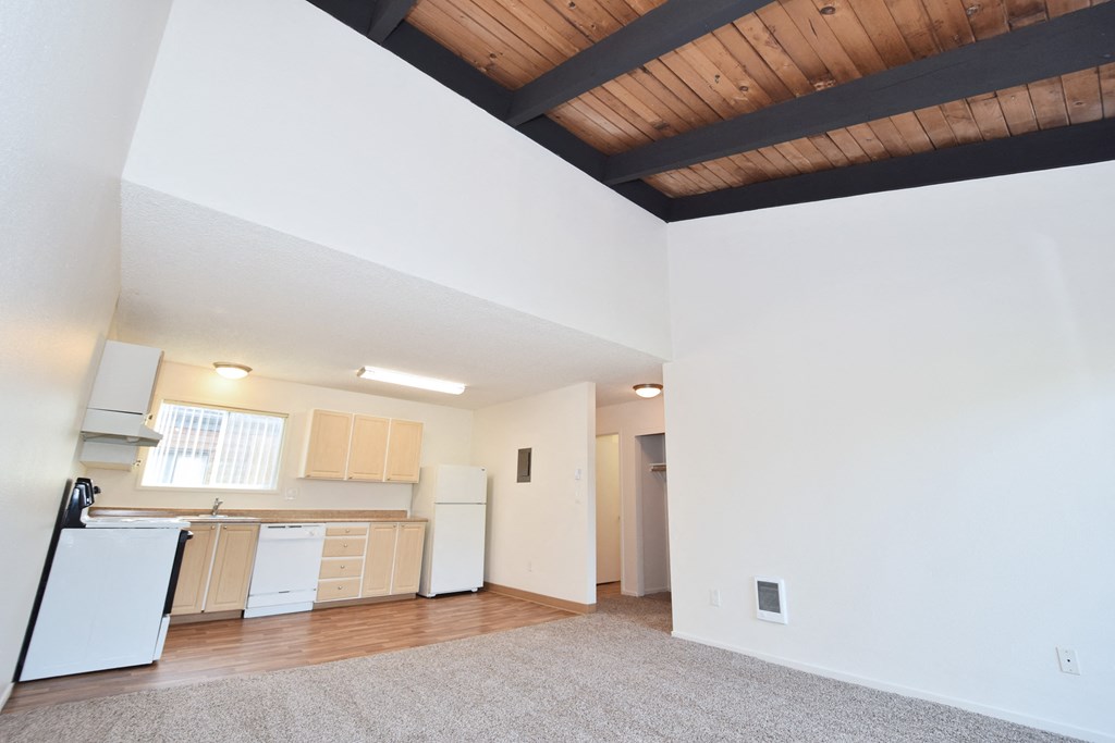 Fountain Park kitchen