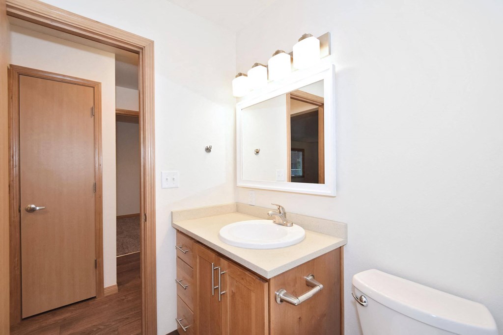 a bathroom with a sink and a mirror and a closet