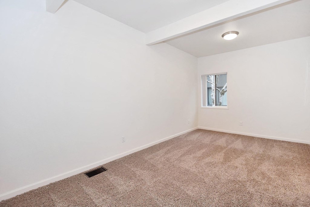 a room with carpet and white walls and a window