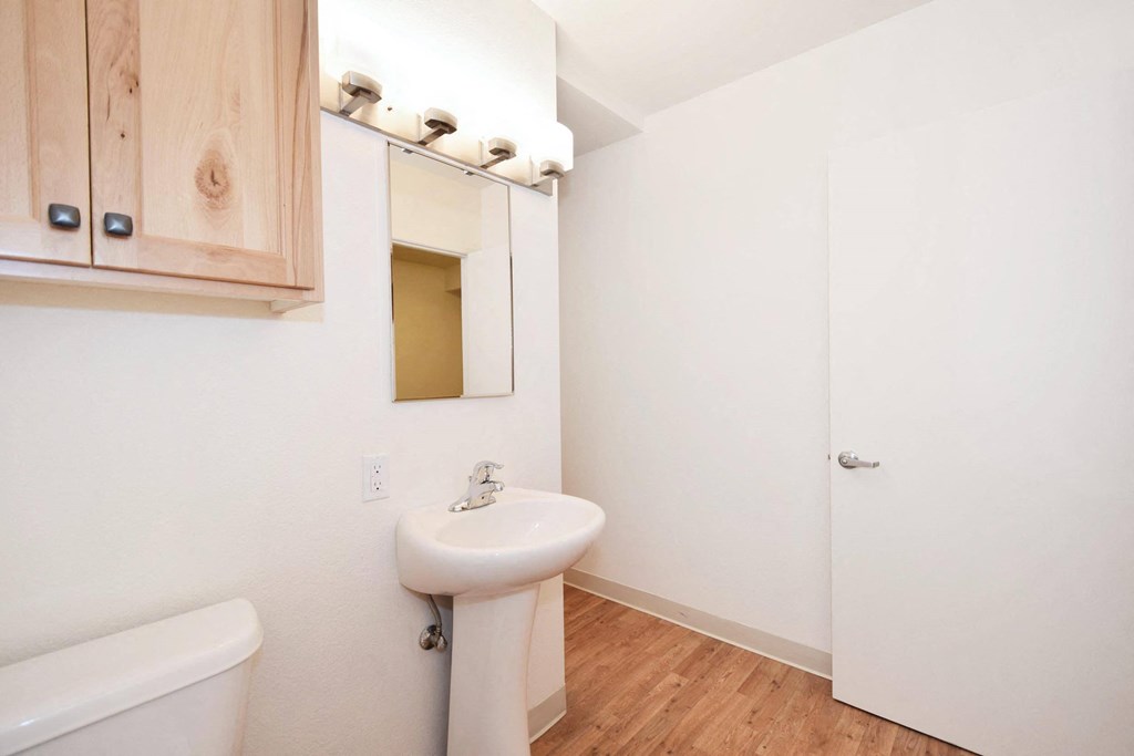 a bathroom with a sink and a mirror and a toilet