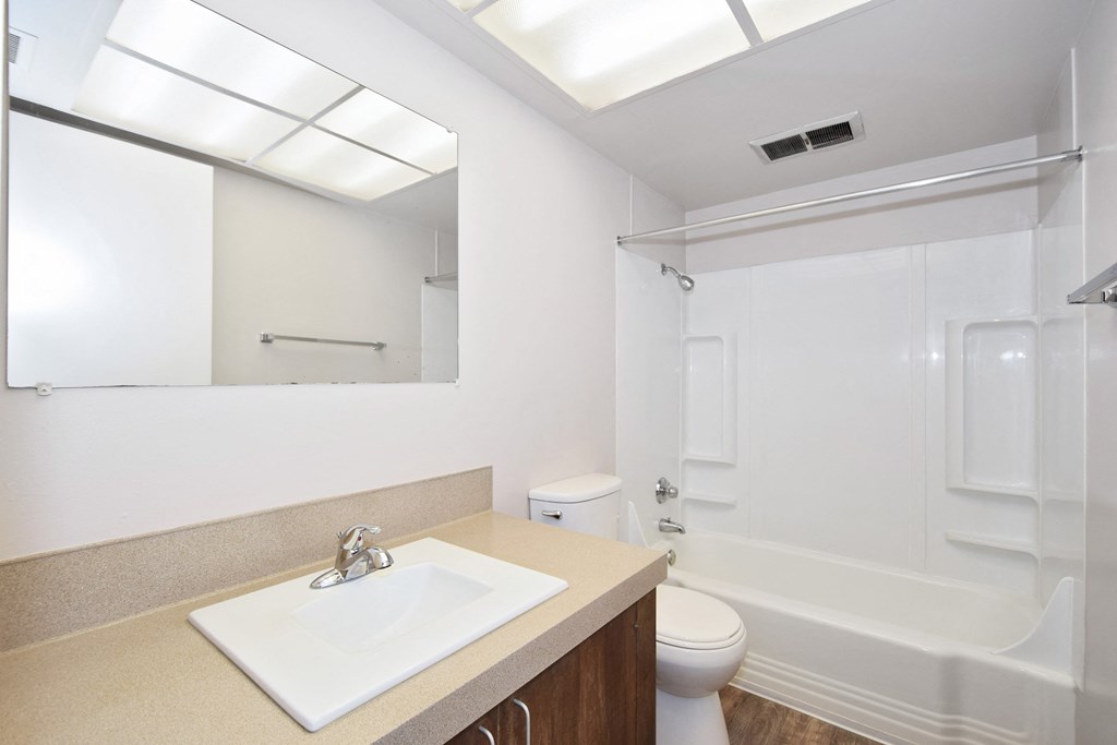 a bathroom with a sink and a toilet and a shower