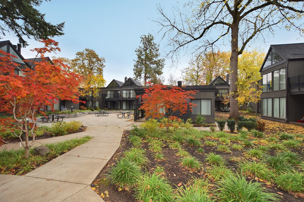 a view of a courtyard with trees and buildings