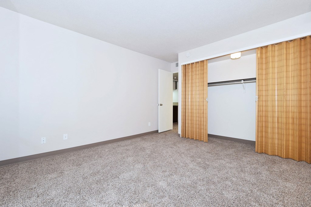 an empty room with a door to a closet and a carpeted floor