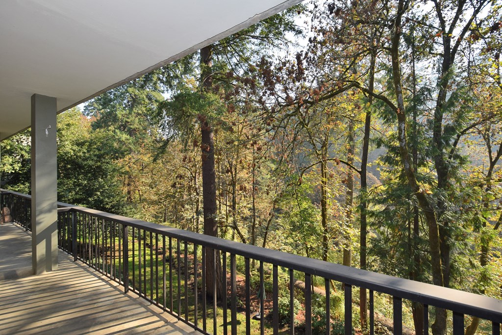 a balcony with a view of a forest and trees