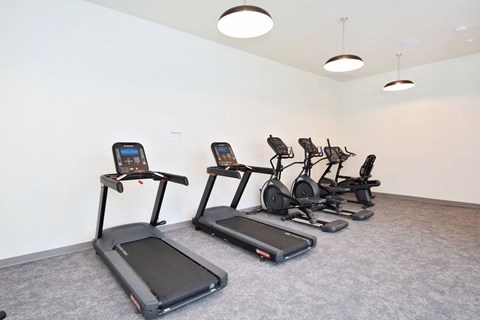 A row of treadmills and exercise bikes are lined up in a gym.