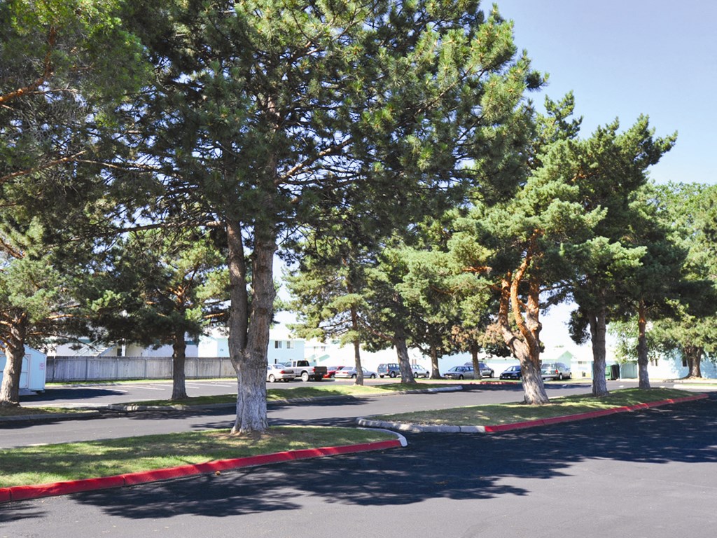 Meridian Park trees and parking