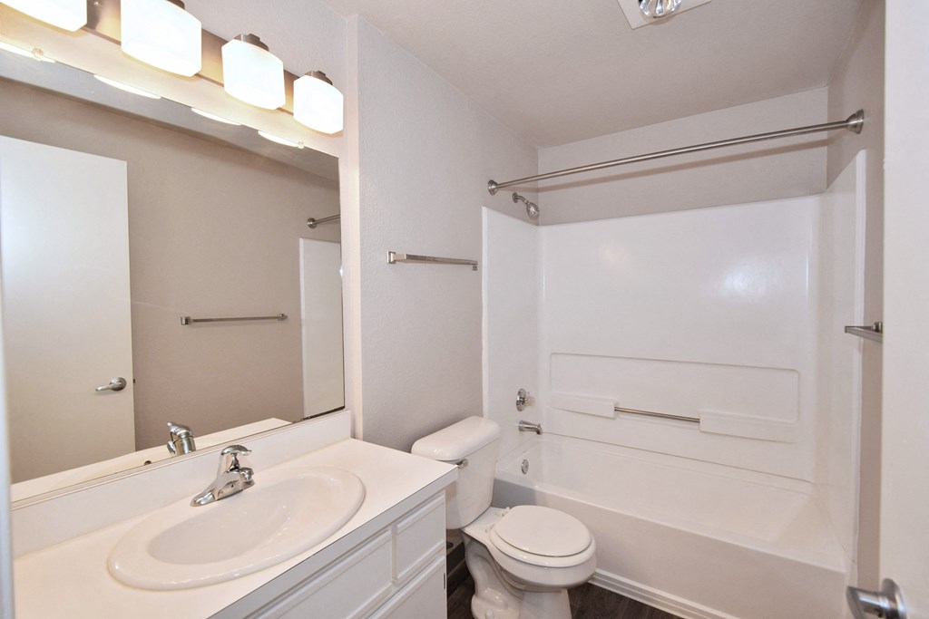 a bathroom with a sink and a toilet and a bath tub
