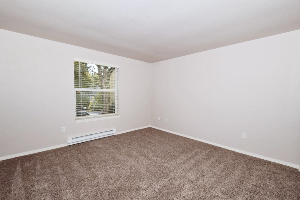 an empty room with carpet and a window