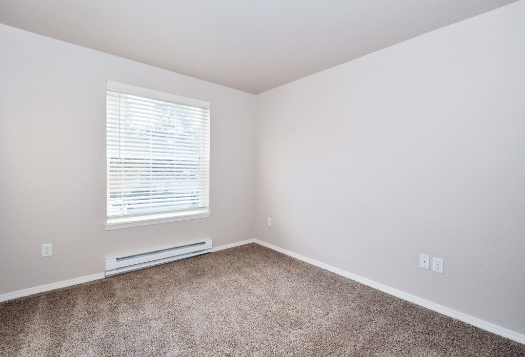 an empty room with carpet and a window