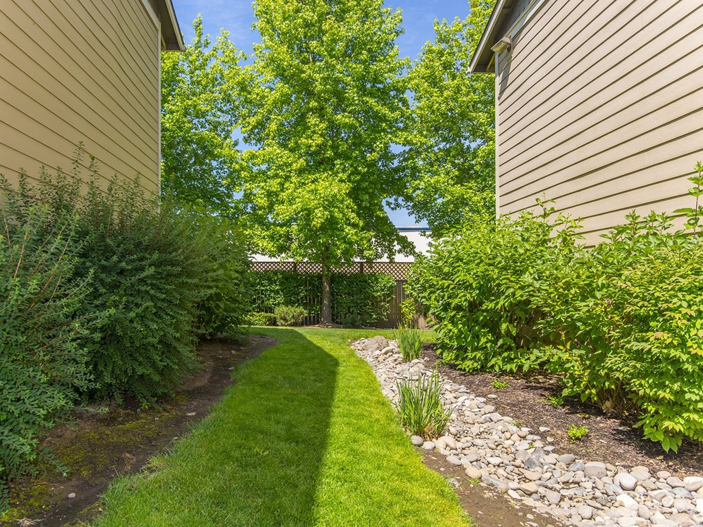 a path between two houses in a garden