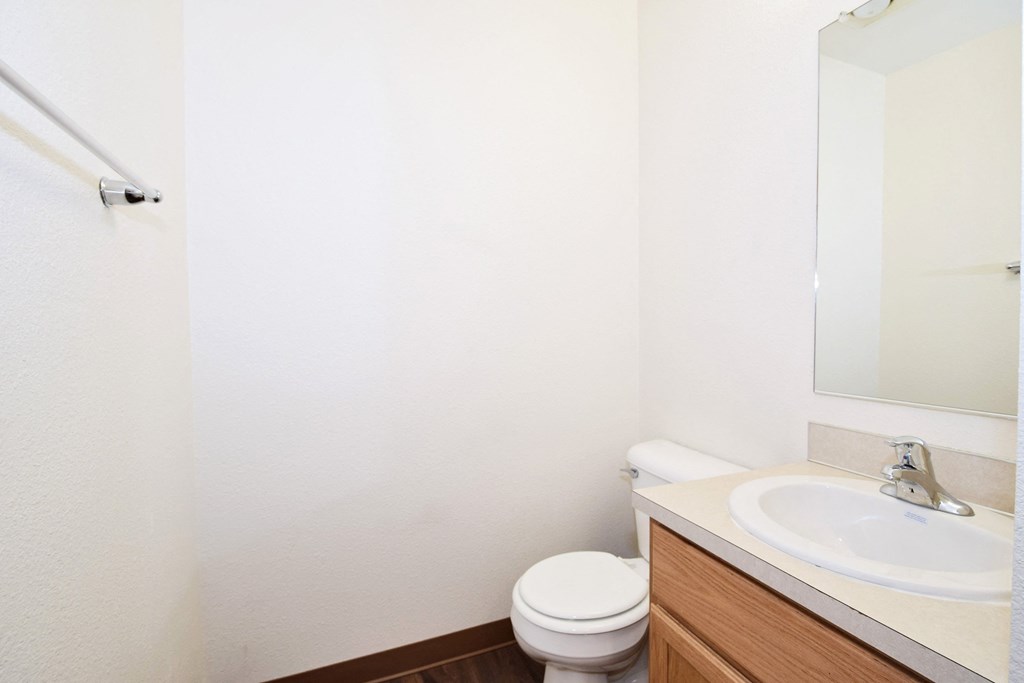 Pleasant Ridge bathroom