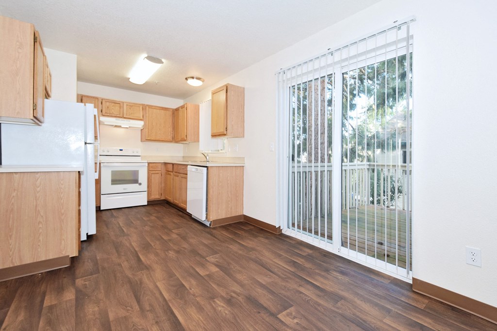 Pleasant Ridge kitchen patio door