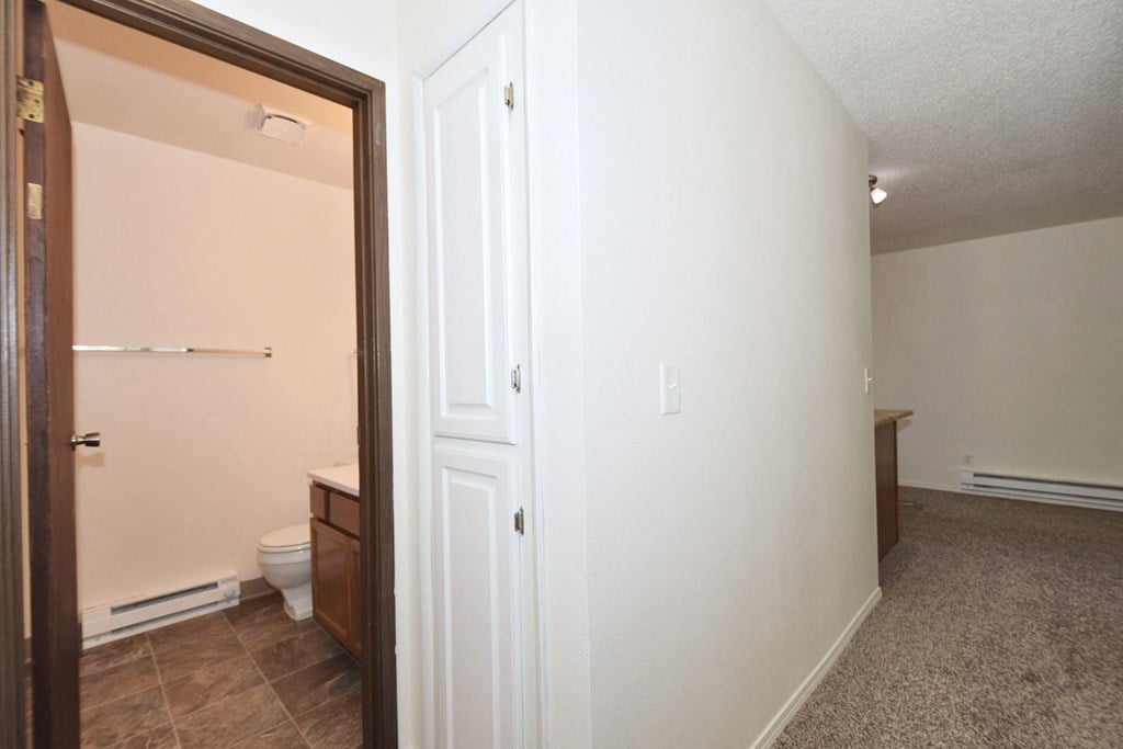a bathroom with a toilet and a sink