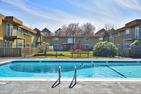 Menlo Manor: pool