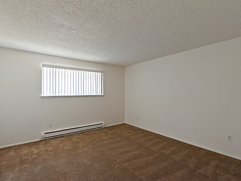 the spacious living room of an apartment with carpet and a window