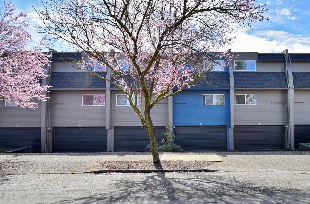 20th and Brooklyn  a tree with pink flowers in front of a building