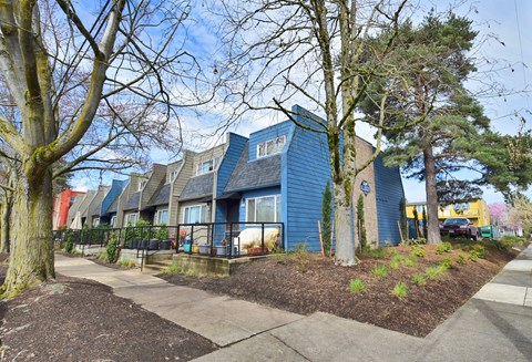 20th and Brooklyn  a row of blue houses with trees in front of them