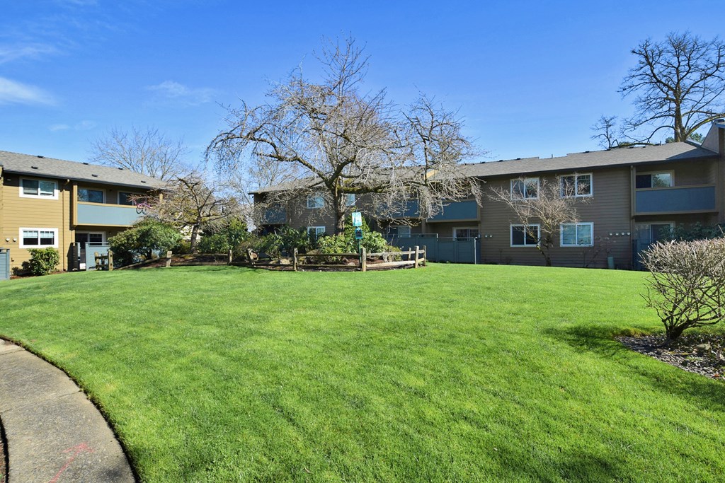 Crescent Ridge grassy area with a tree in the middle of it