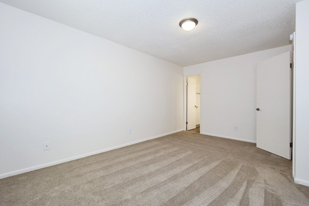 a bedroom with a carpeted floor and white walls