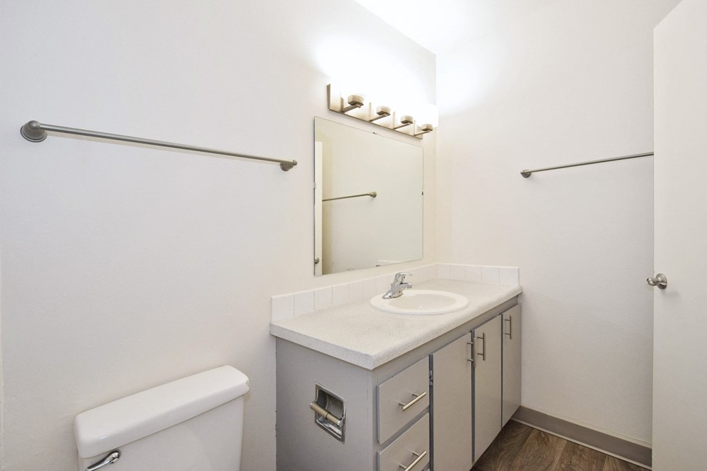 a bathroom with a sink and a toilet