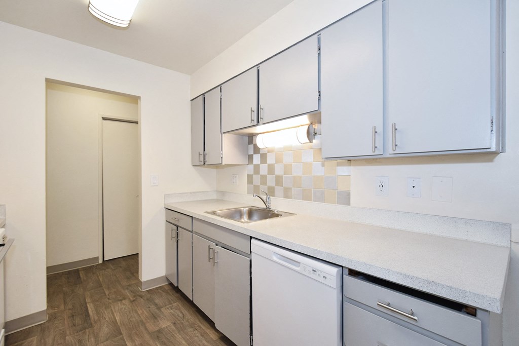 Birnam West: kitchen