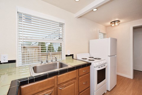 a kitchen with a sink and a stove and a refrigerator