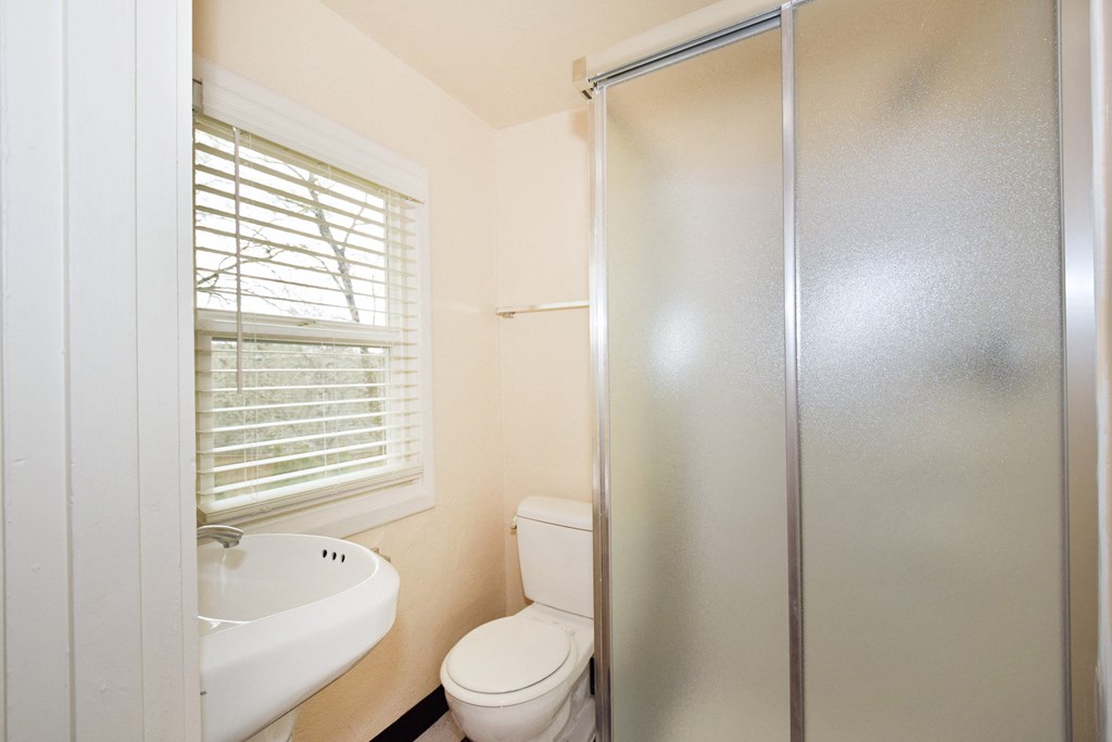 a bathroom with a shower toilet and a sink