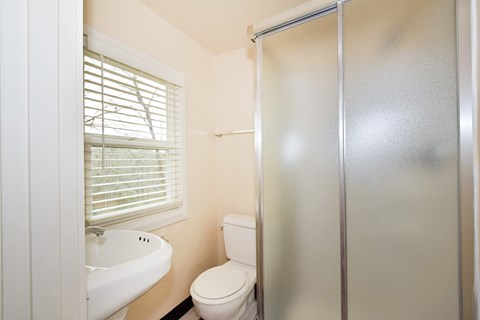 a bathroom with a shower toilet and a sink