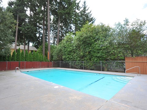 Birnam West exterior pool