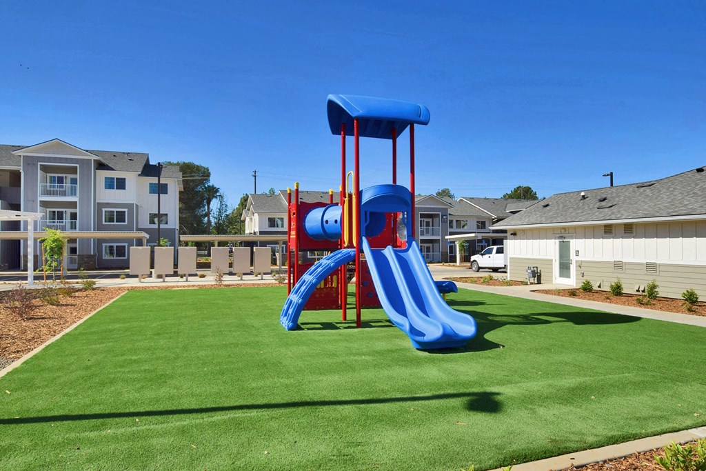a playground with a blue and red slide in the middle of a grassy area