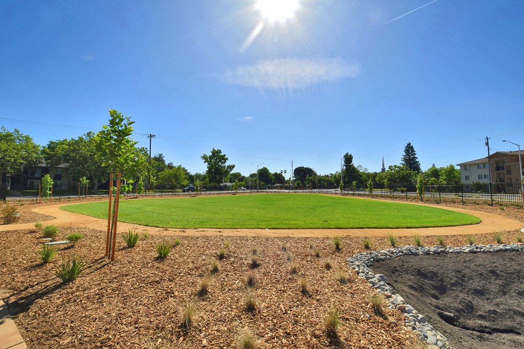 a green baseball field with trees in the background