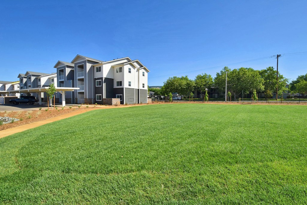 a large grassy area with apartment buildings in the background