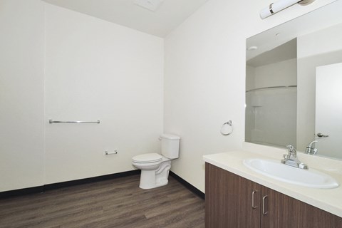 a bathroom with a toilet and a sink and a mirror