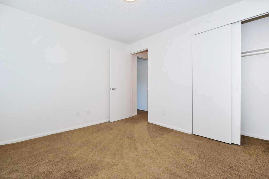 a bedroom with two closets and a carpeted floor