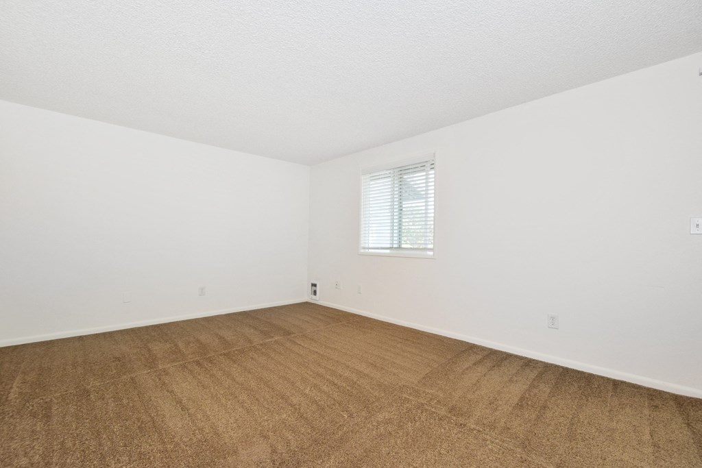 a bedroom with white walls and a brown carpet