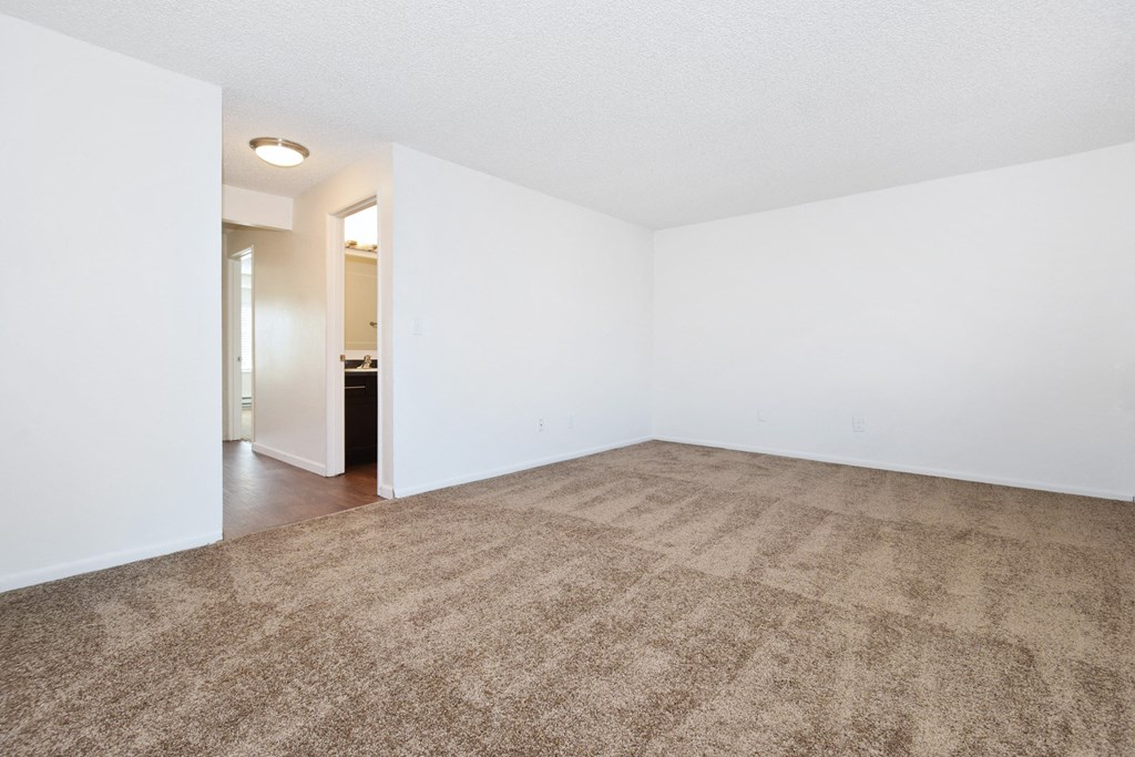 a living room with a carpeted floor and white walls