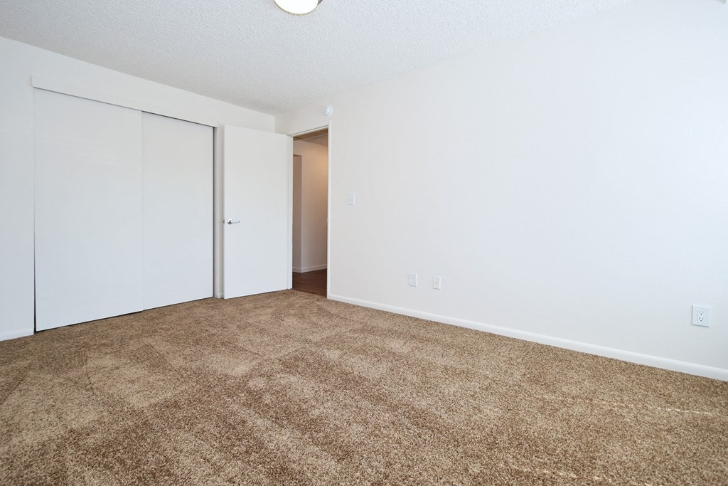 a bedroom with a carpeted floor and white walls