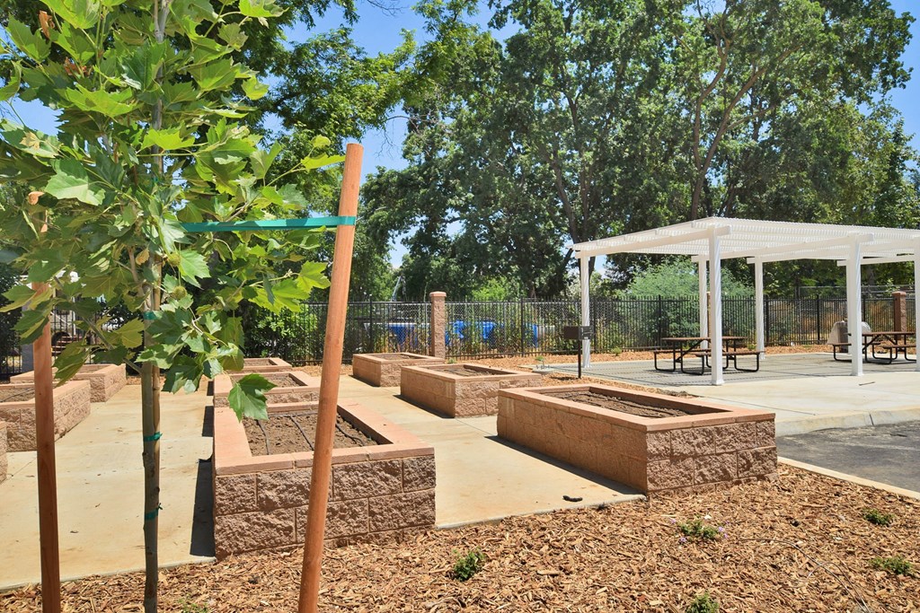 a group of trees in a park with a pavilion in the background
